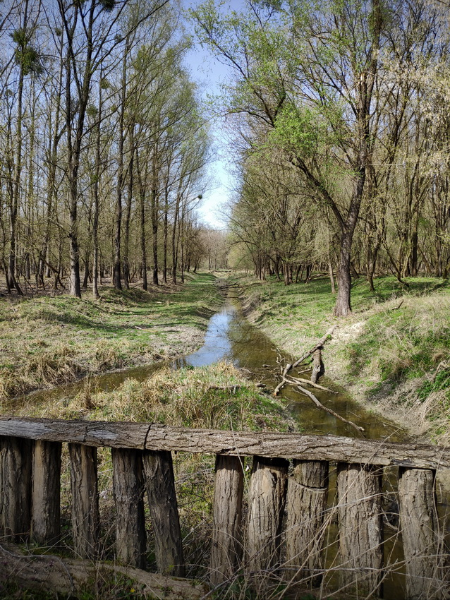 Naziv: IMG_20200328_133337_2.jpg, pregleda: 202, veličina: 372,6 KB