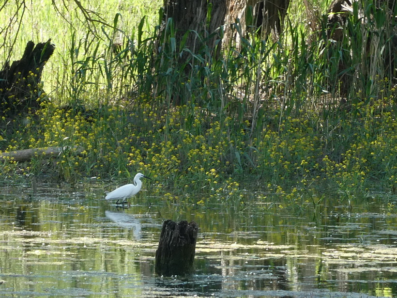 Naziv: profimedia-0088349174_1000x0_2.jpg, pregleda: 257, veličina: 345,6 KB