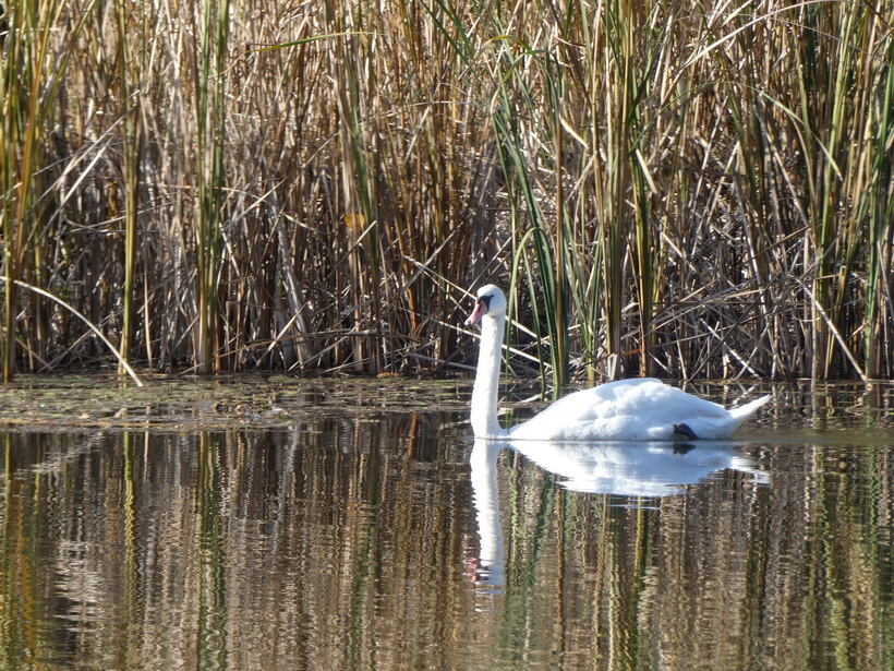 Naziv: forum_P1050736.JPG, pregleda: 248, veličina: 353,8 KB