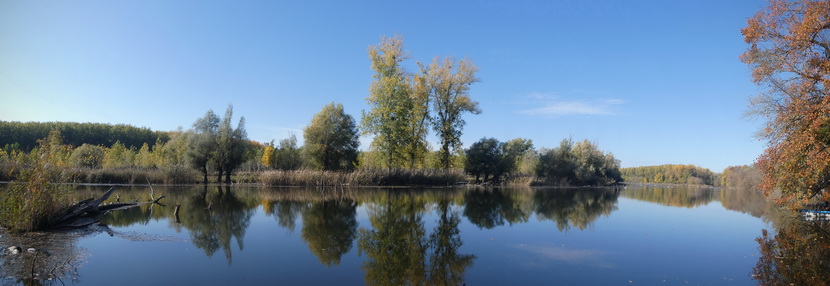 Naziv: forum_P1050774.JPG, pregleda: 246, veličina: 115,2 KB