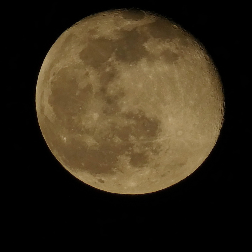 Naziv: P1060268.JPG, pregleda: 205, veličina: 124,1 KB