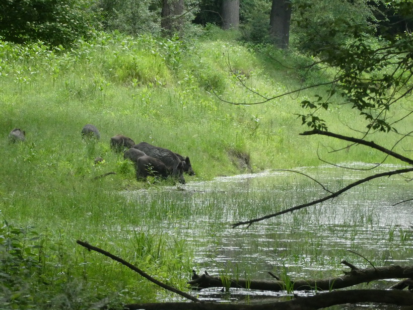 Naziv: 4.JPG, pregleda: 141, veličina: 321,9 KB