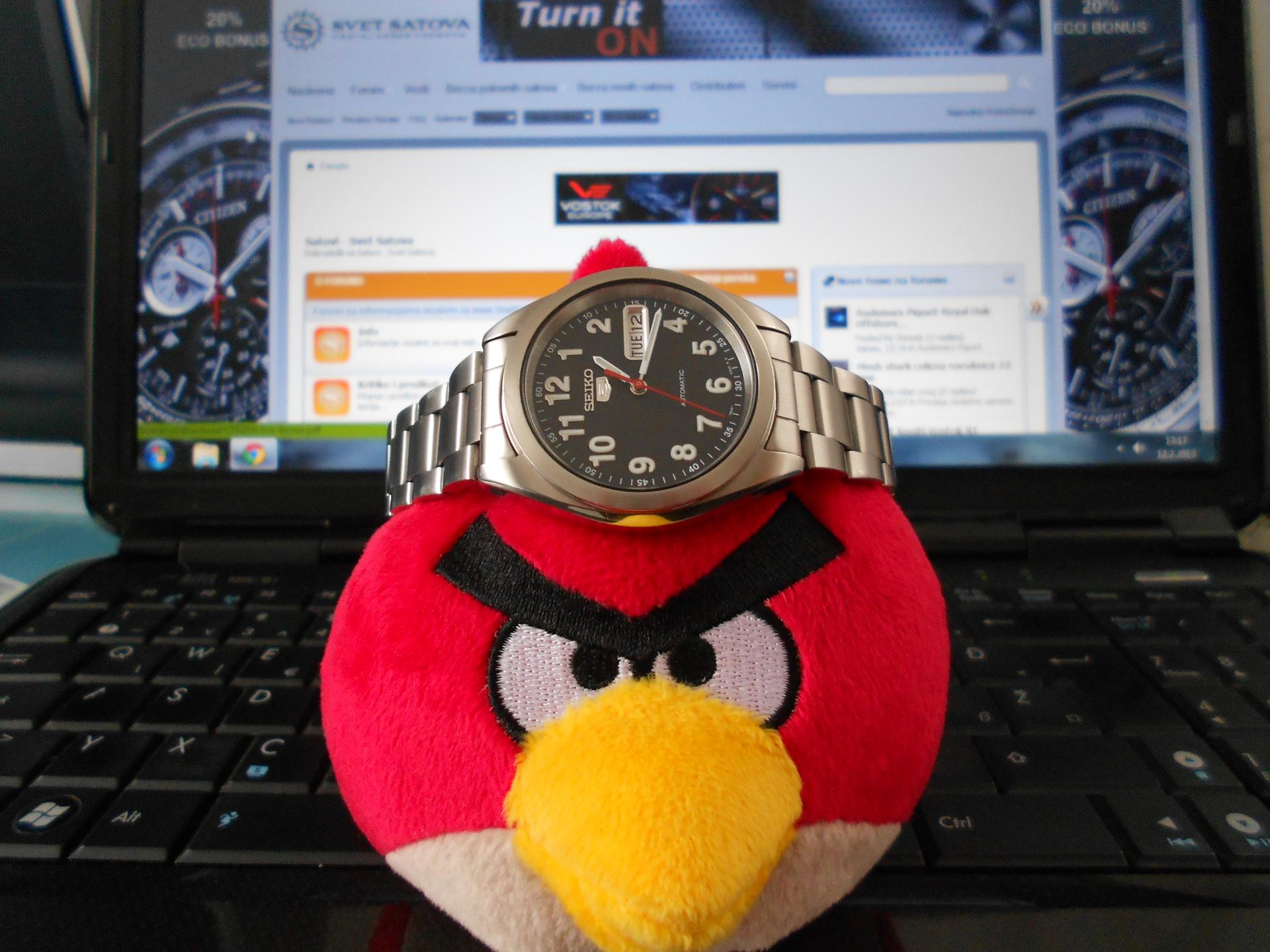 Naziv: DSCN0097.jpg, pregleda: 206, veličina: 271,1 KB