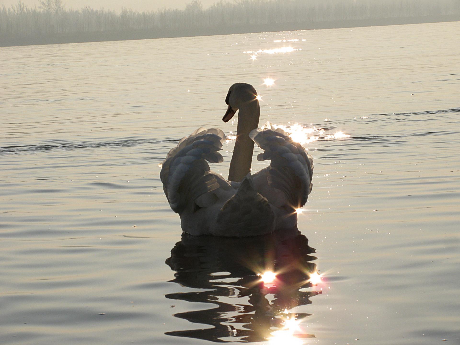 Naziv: IMG_4480 ....jpg, pregleda: 137, veličina: 252,5 KB