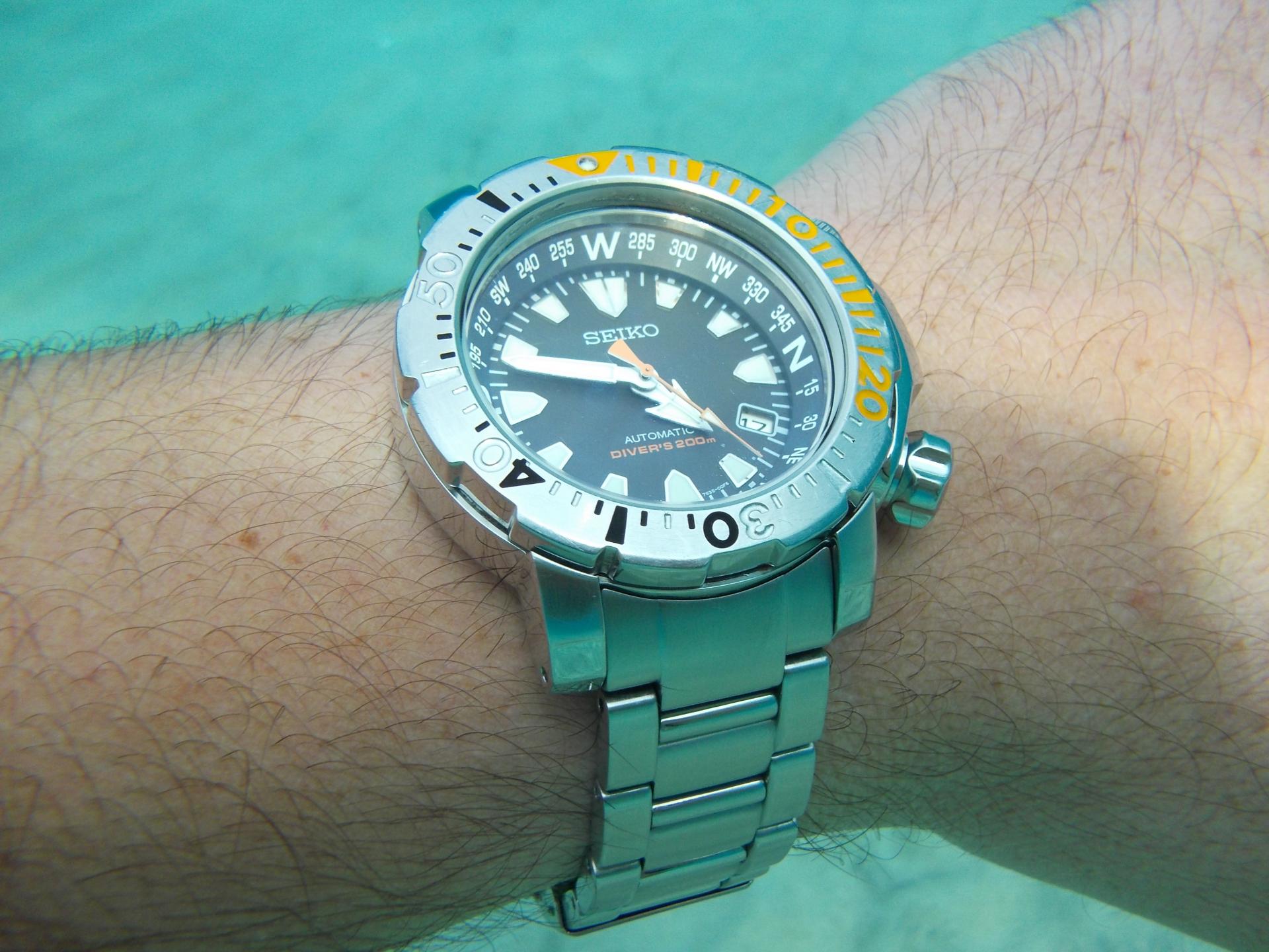 Naziv: DSCN0432.jpg, pregleda: 312, veličina: 273,4 KB