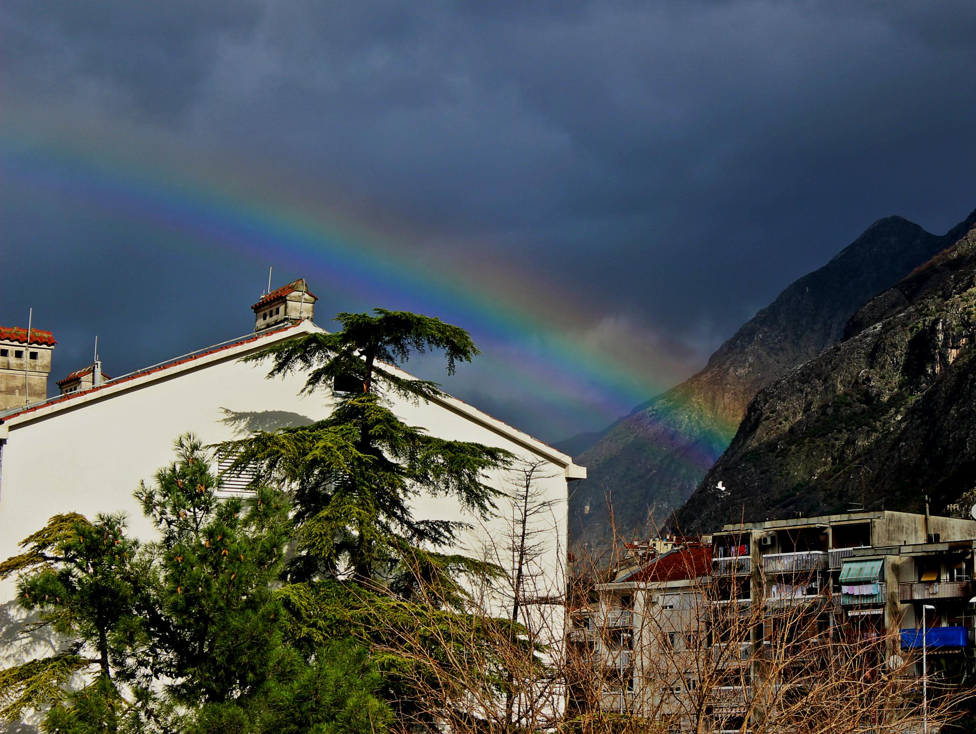 Naziv: IMG_0472.jpg, pregleda: 134, veličina: 475,4 KB