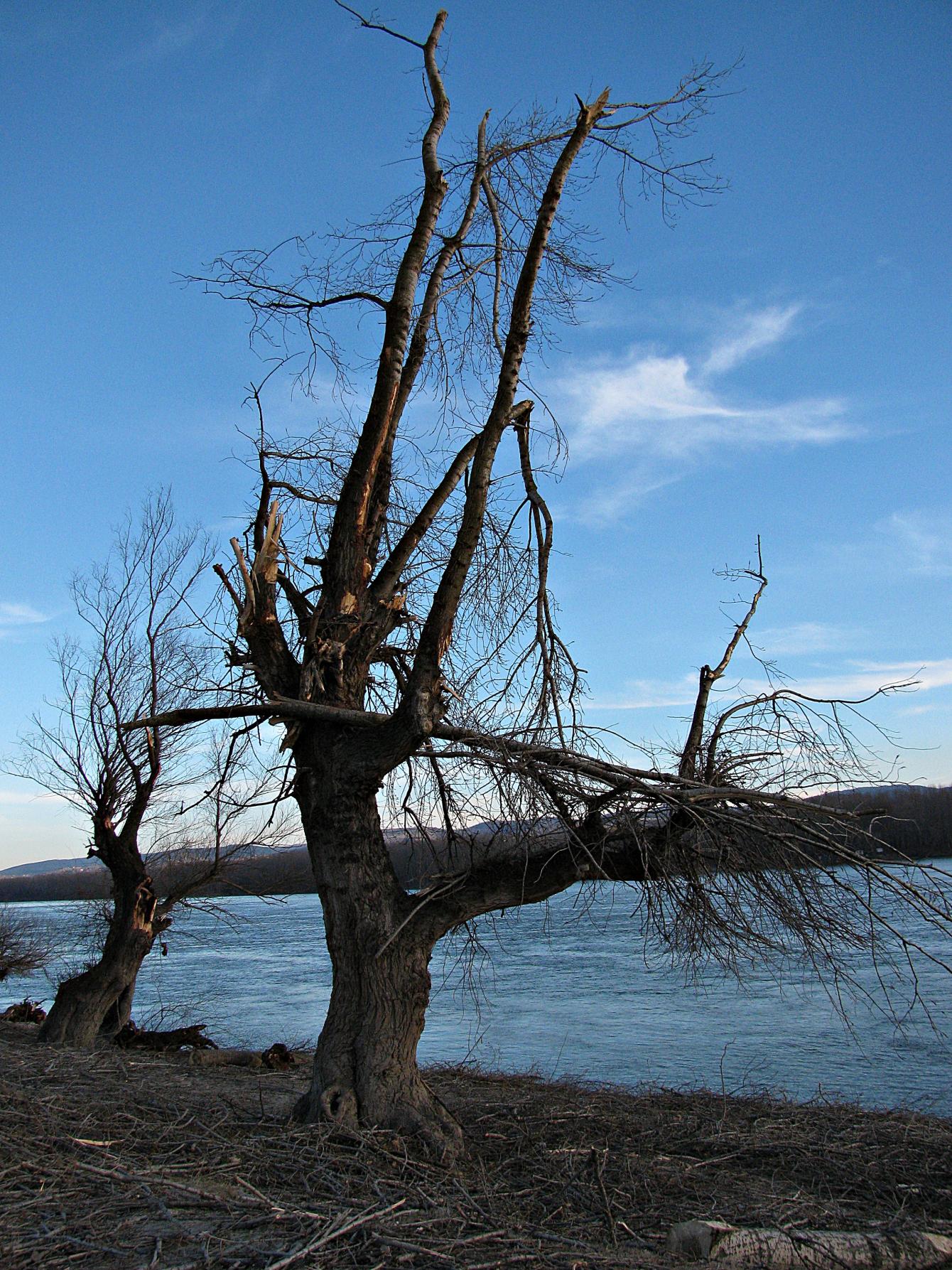 Naziv: IMG_5613 ....jpg, pregleda: 104, veličina: 511,5 KB