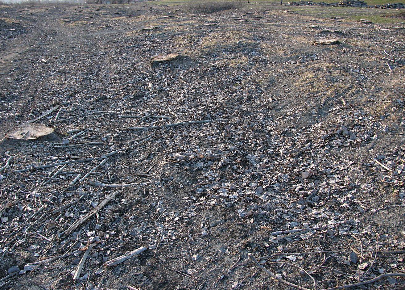 Naziv: IMG_5594 ....jpg, pregleda: 111, veličina: 515,0 KB