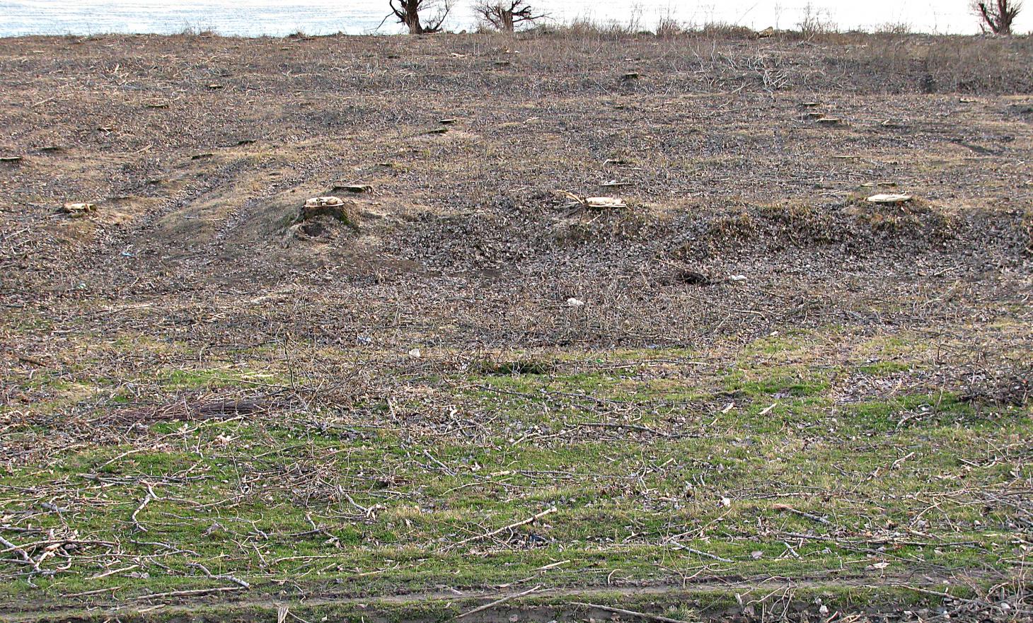 Naziv: IMG_5634 ....jpg, pregleda: 106, veličina: 510,5 KB