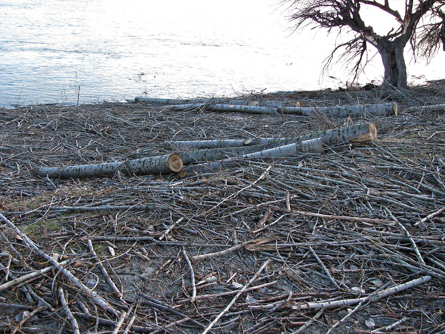 Naziv: IMG_5615 ....jpg, pregleda: 104, veličina: 518,0 KB