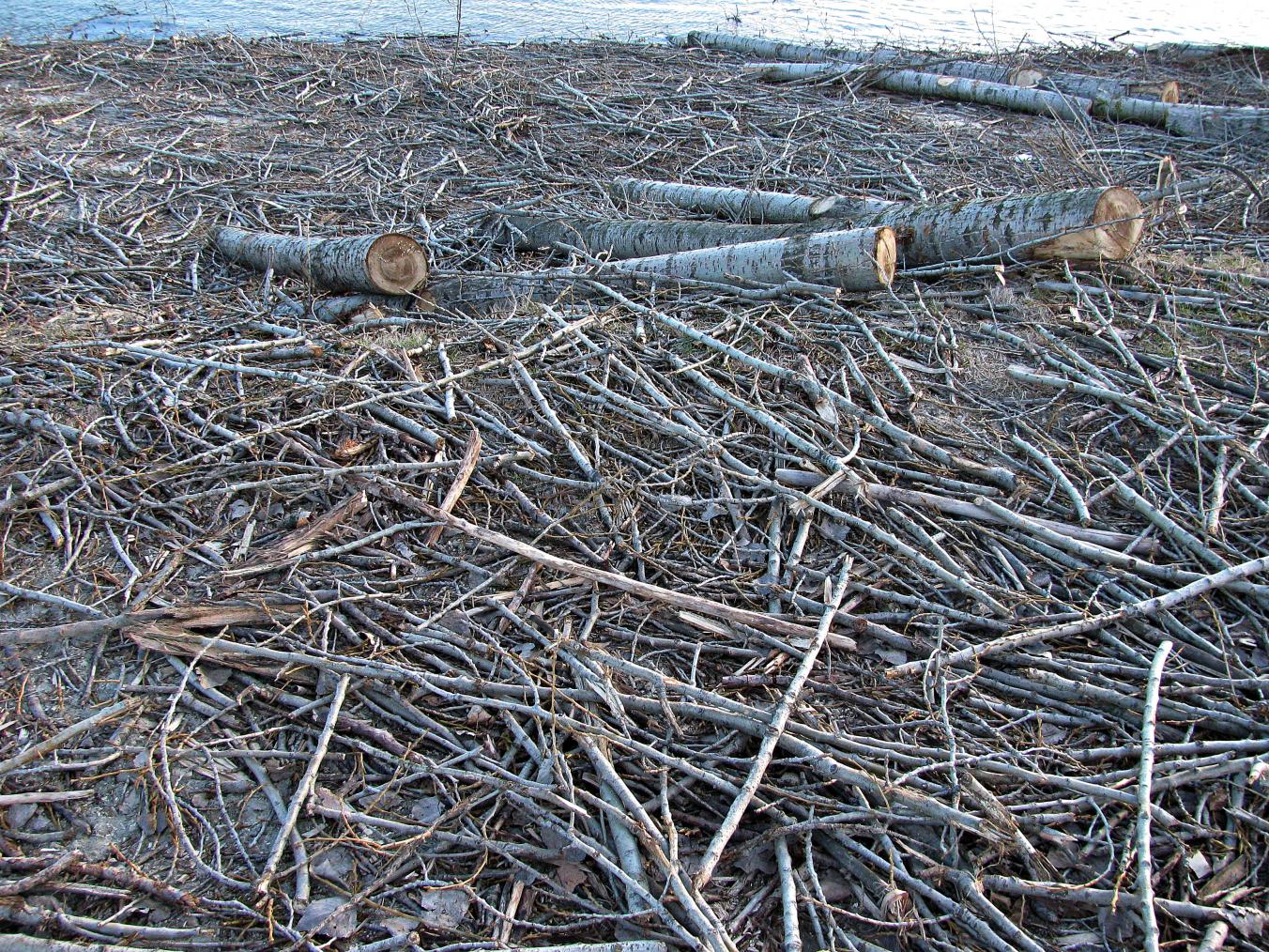 Naziv: IMG_5616 ....jpg, pregleda: 107, veličina: 525,2 KB