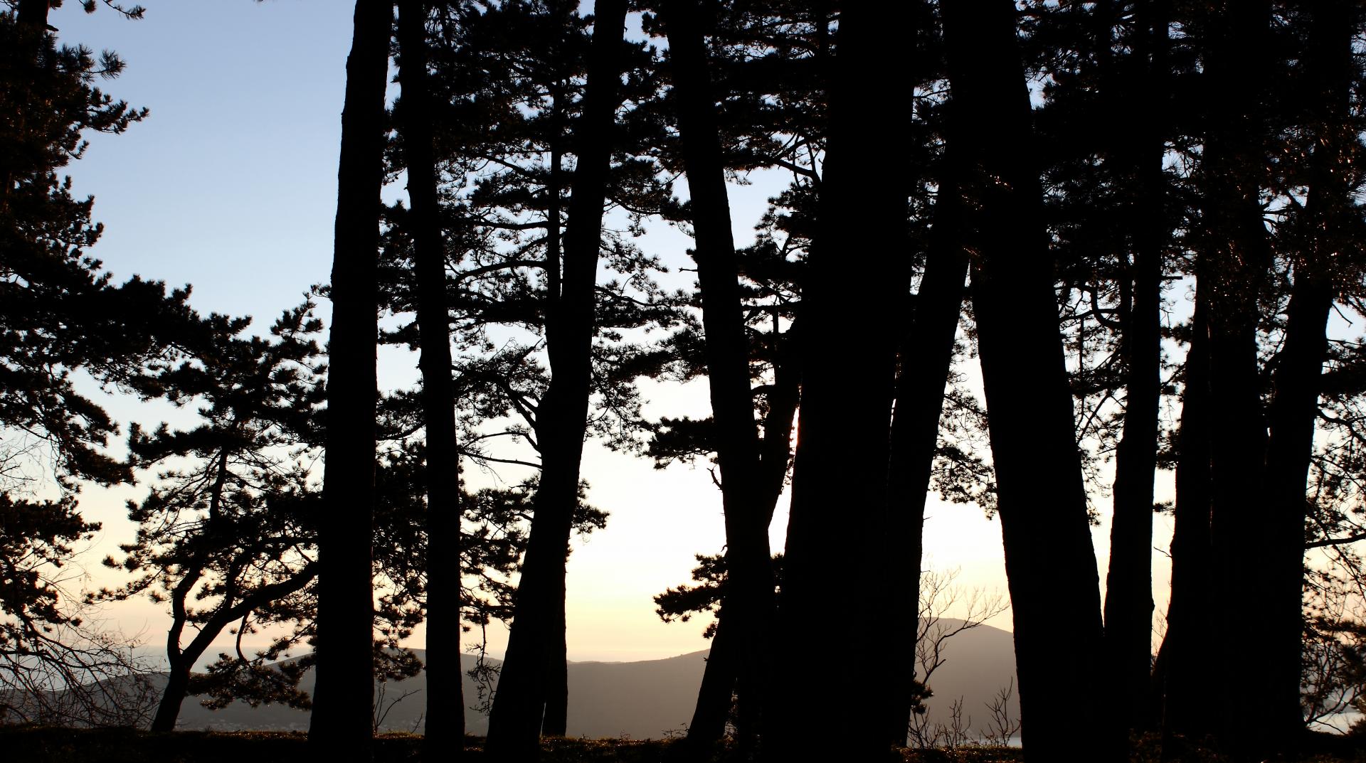 Naziv: IMG_2694.jpg, pregleda: 237, veličina: 334,2 KB