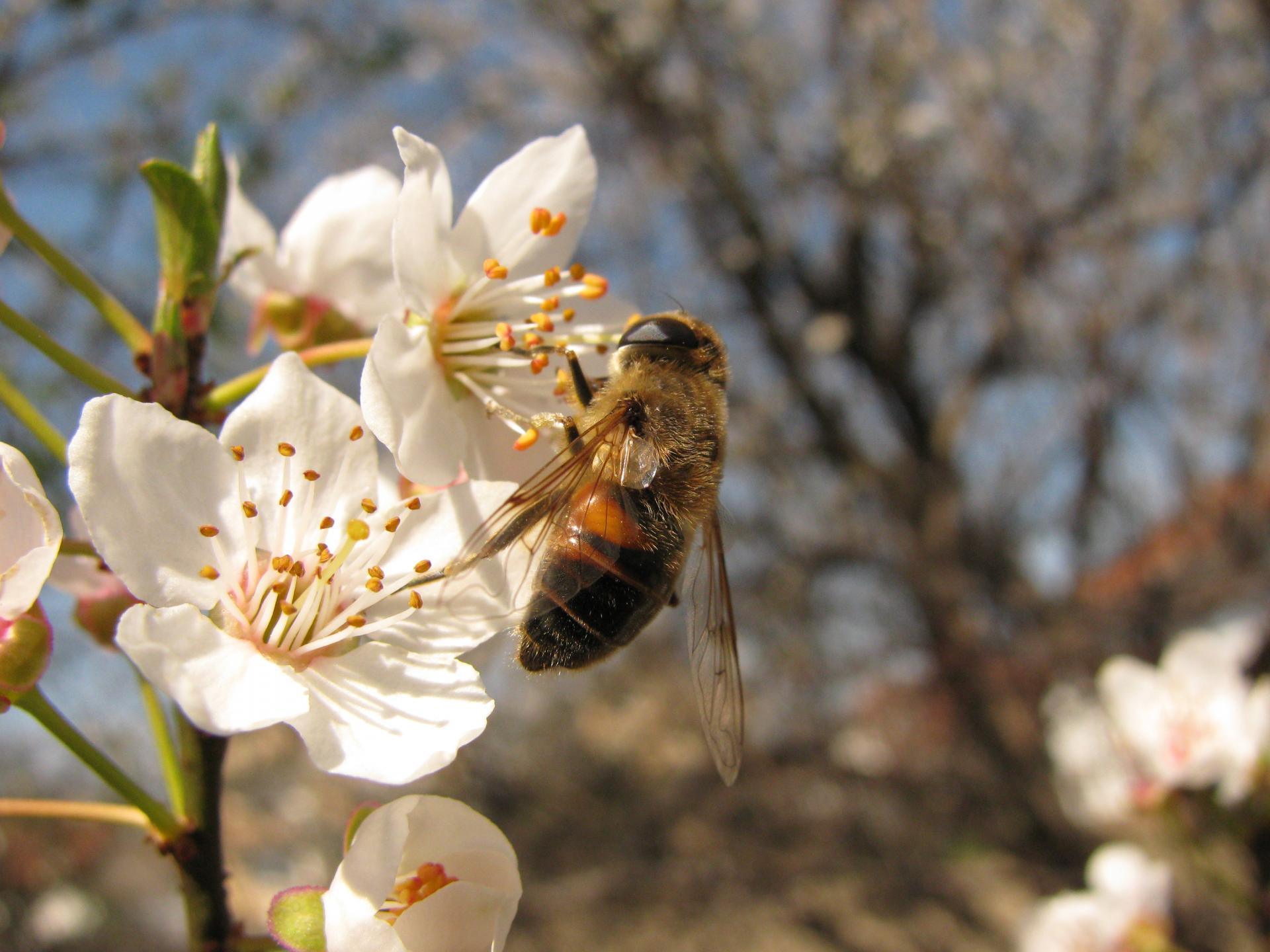 Naziv: 1.jpg, pregleda: 194, veličina: 217,0 KB