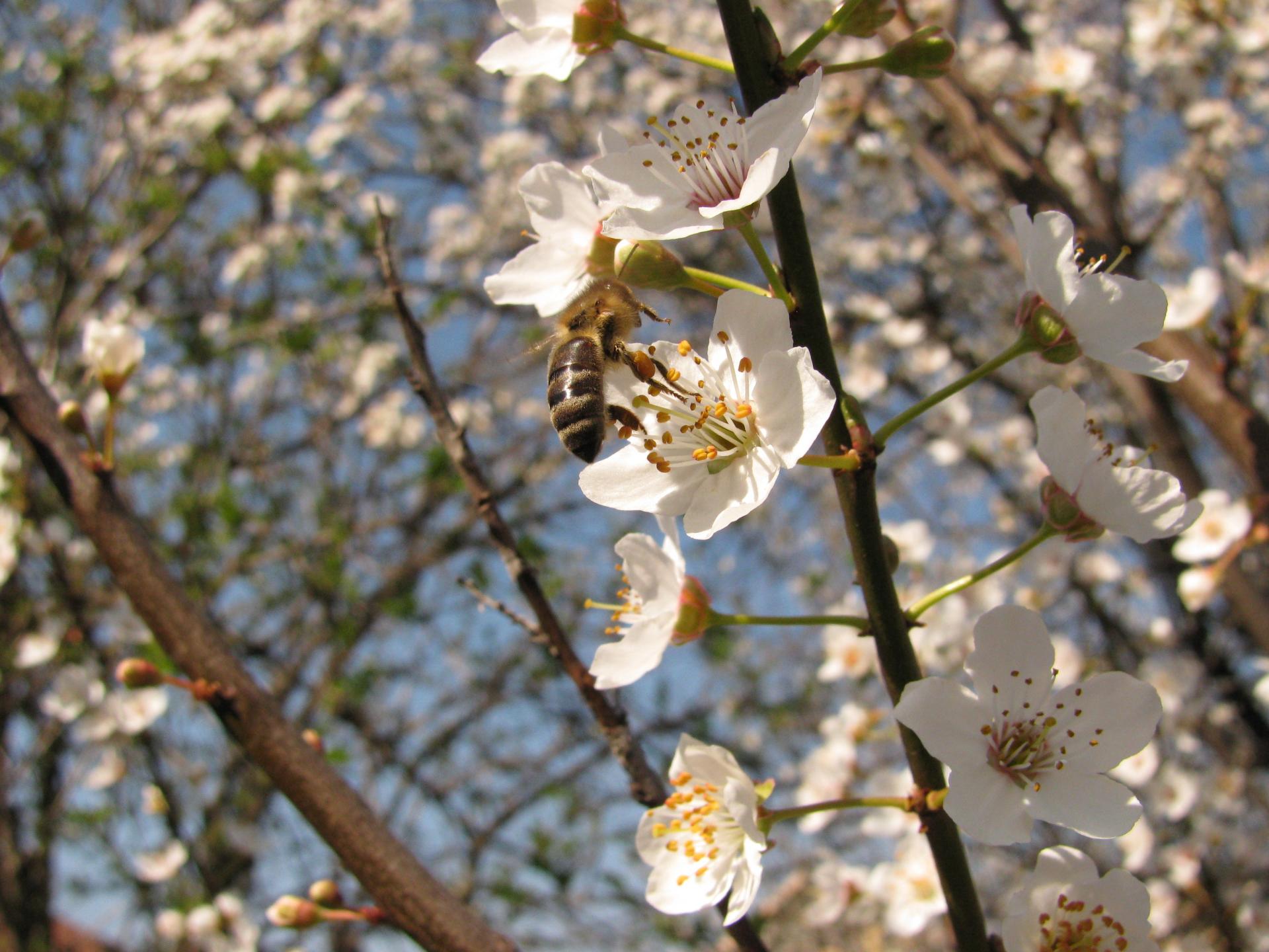 Naziv: 2.jpg, pregleda: 188, veličina: 266,5 KB