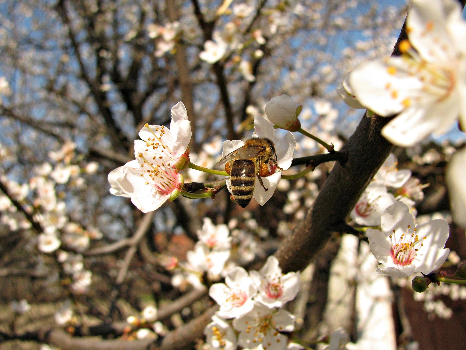 Naziv: 3.jpg, pregleda: 189, veličina: 344,7 KB