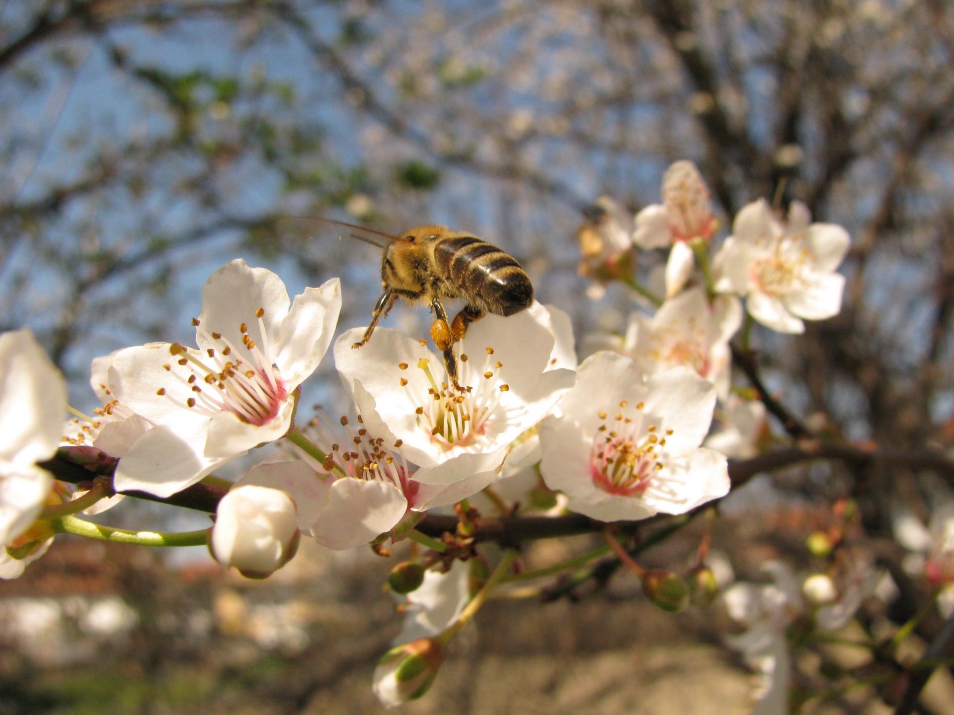 Naziv: 4.jpg, pregleda: 194, veličina: 230,7 KB