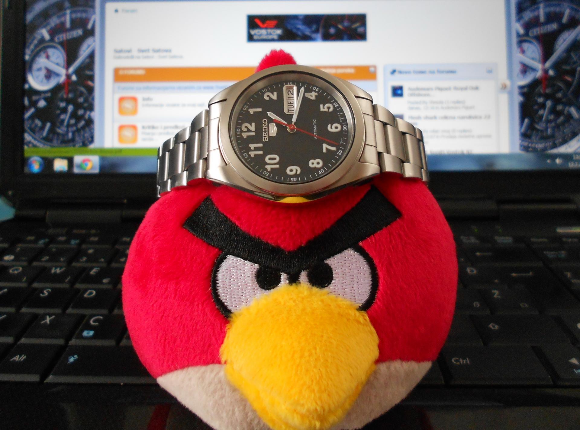 Naziv: f4.jpg, pregleda: 364, veličina: 267,4 KB