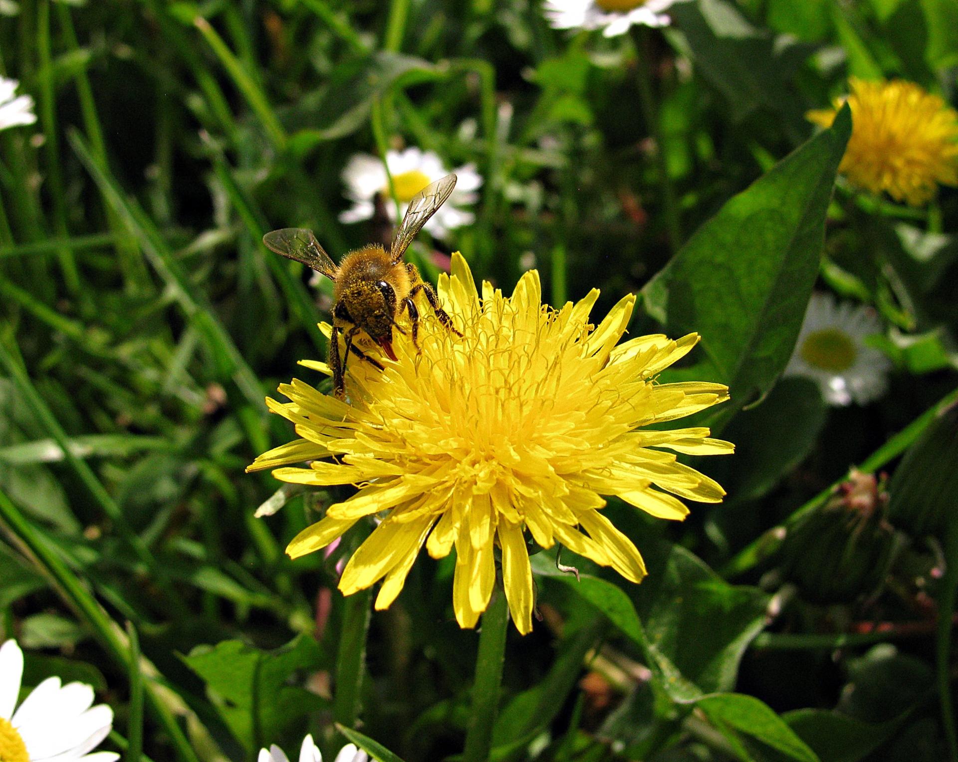 Naziv: IMG_6753 ....jpg, pregleda: 168, veličina: 389,1 KB