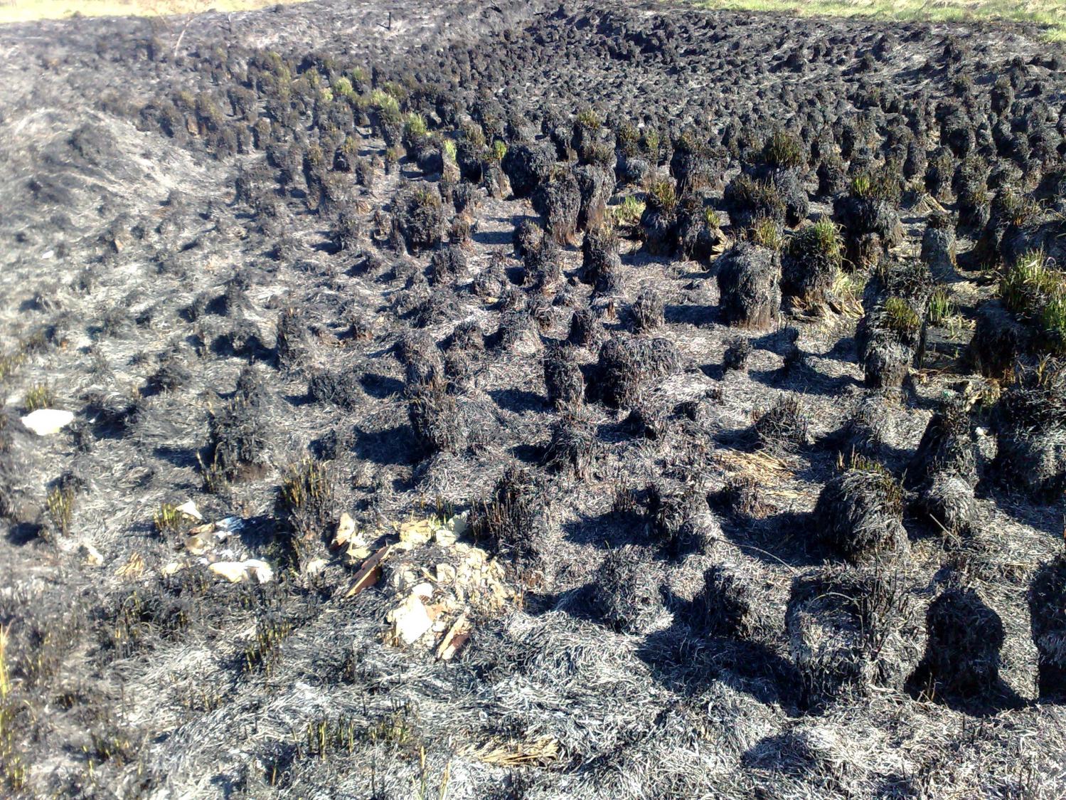 Naziv: 30032014979.jpg, pregleda: 101, veličina: 537,5 KB