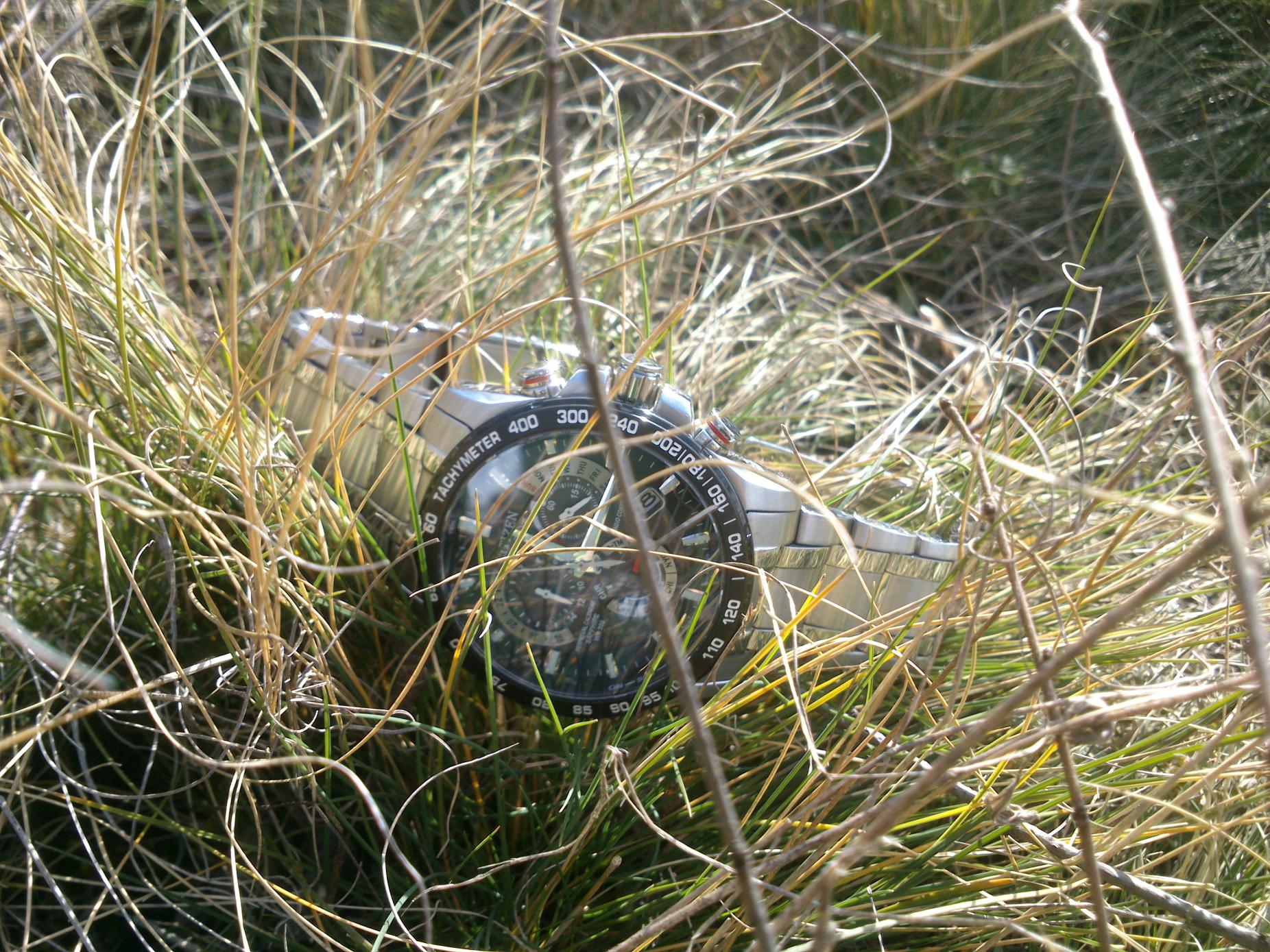 Naziv: DSC_1354.jpg, pregleda: 301, veličina: 497,3 KB