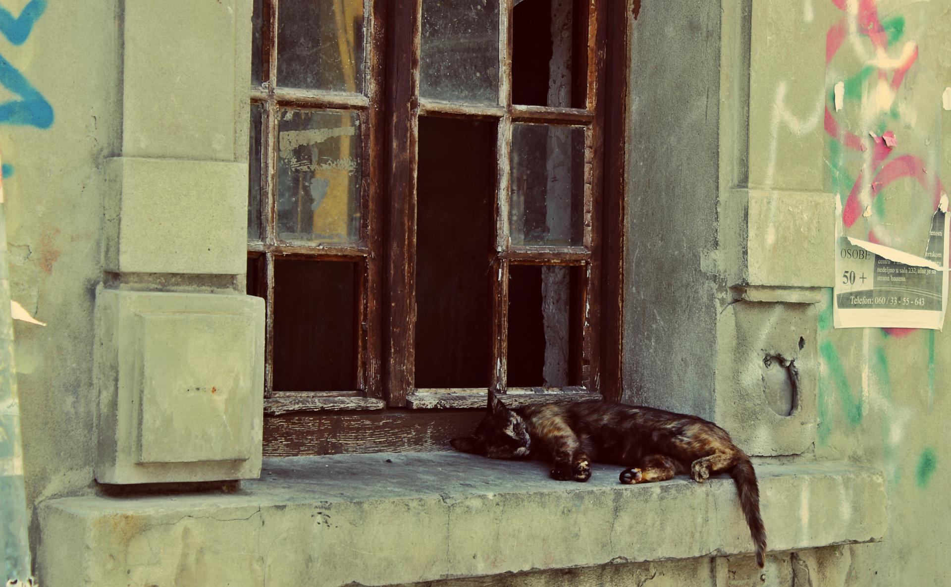 Naziv: IMG_3491.jpg, pregleda: 145, veličina: 293,5 KB