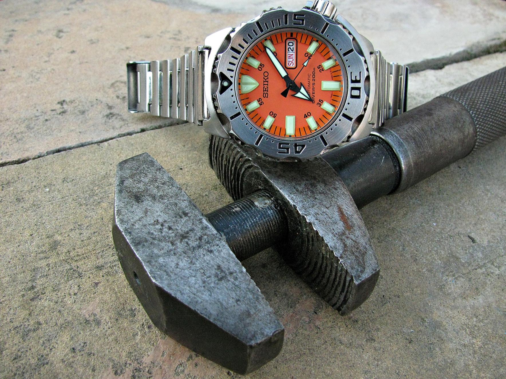 Naziv: IMG_8582 ....jpg, pregleda: 249, veličina: 492,2 KB