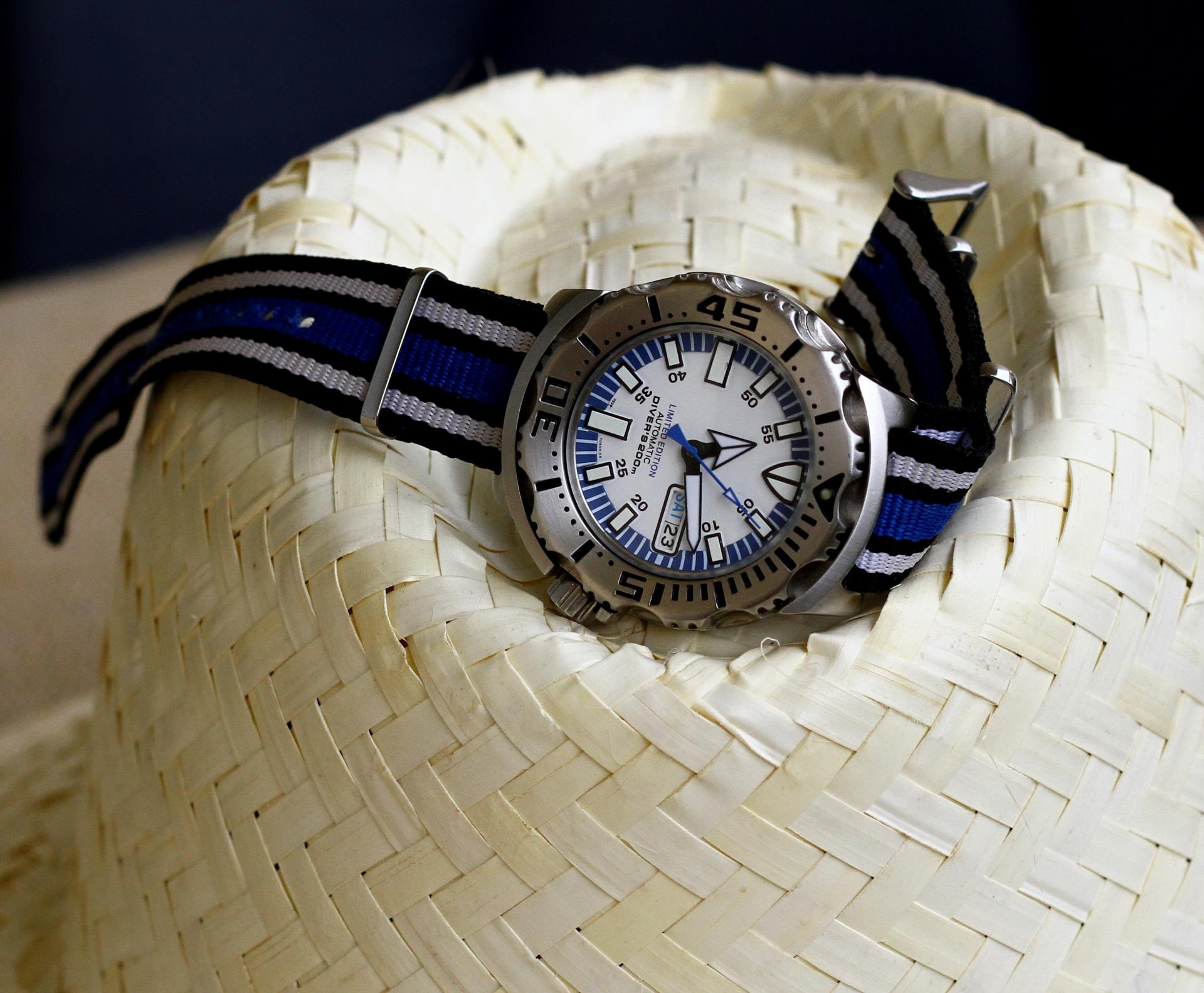 Naziv: IMG_0694.jpg, pregleda: 343, veličina: 283,2 KB