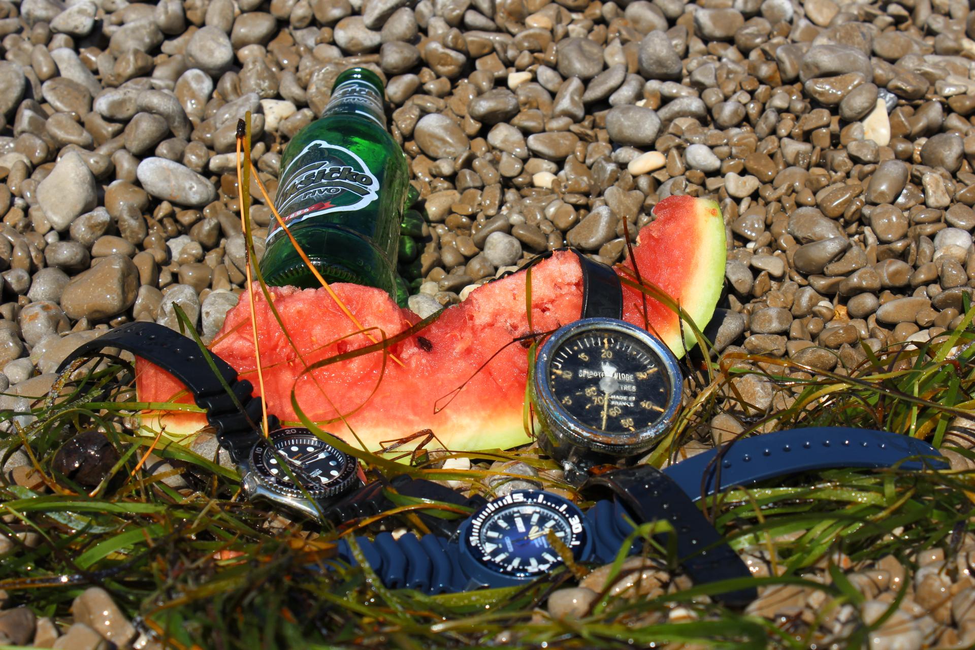 Naziv: IMG_4151.jpg, pregleda: 143, veličina: 401,7 KB