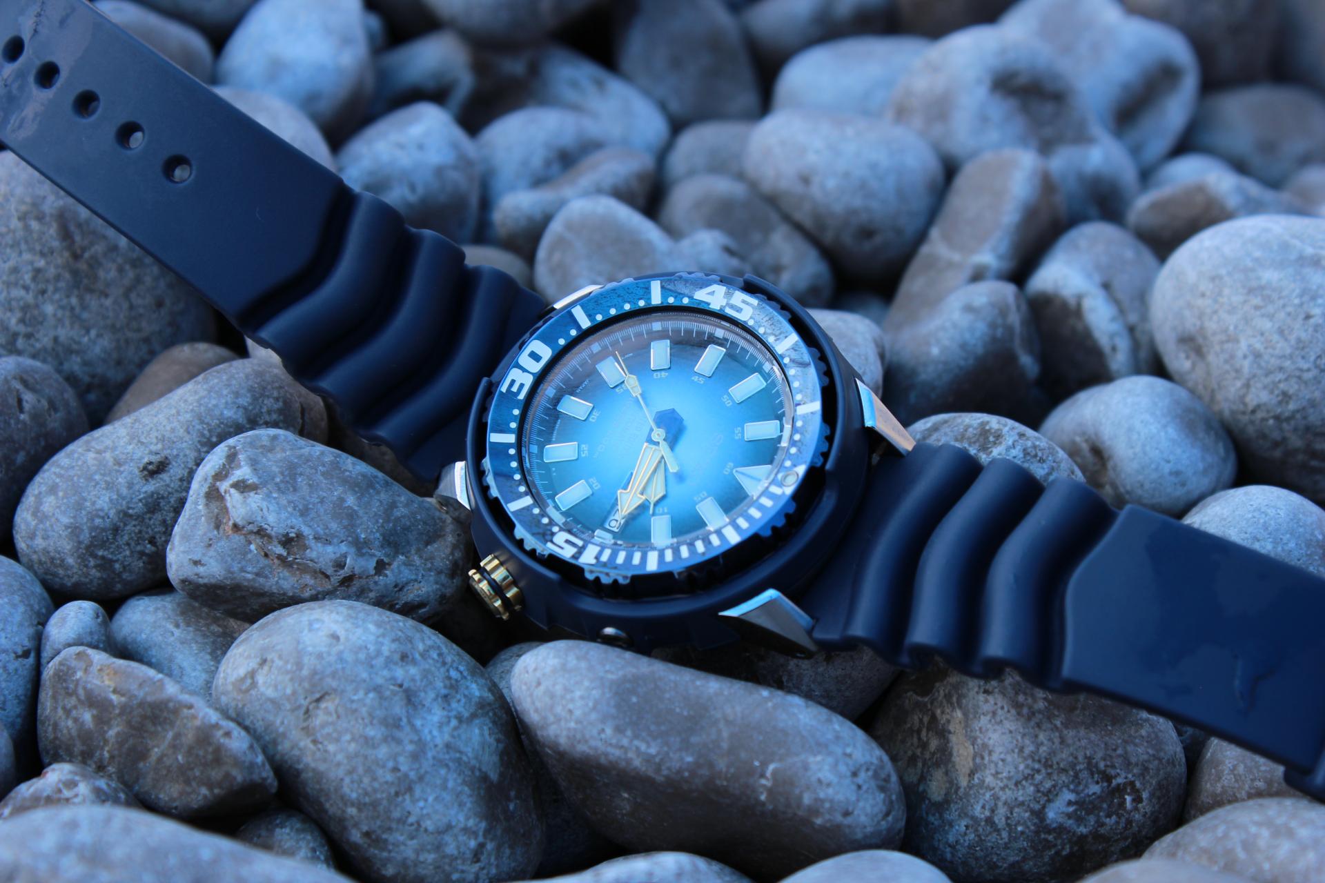 Naziv: IMG_4105.jpg, pregleda: 140, veličina: 232,9 KB