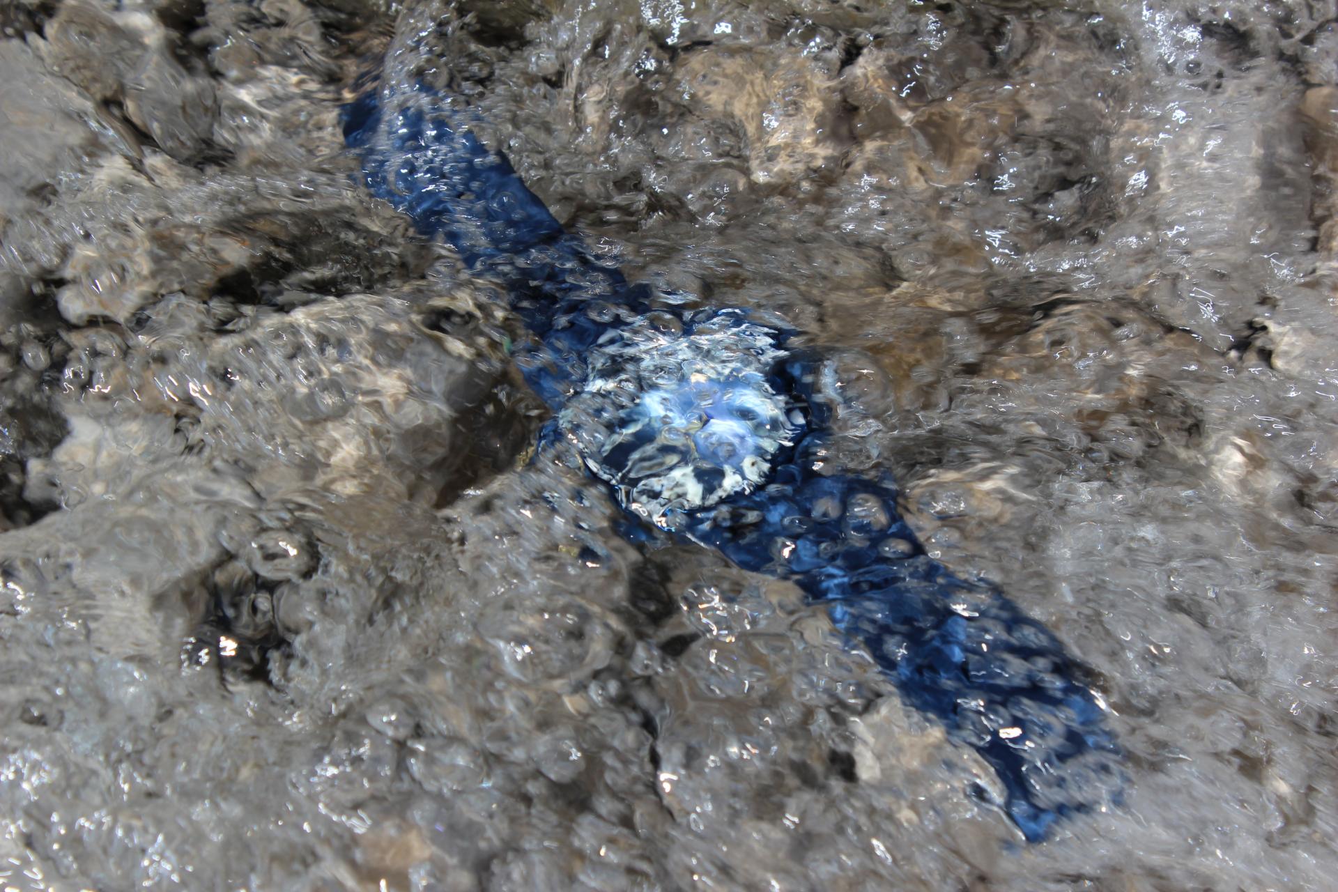 Naziv: IMG_4107.jpg, pregleda: 143, veličina: 339,8 KB