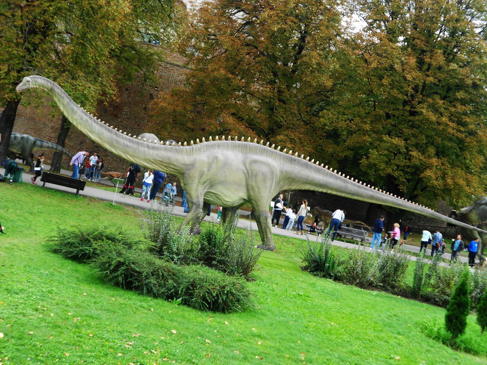 Naziv: DSCN21844.jpg, pregleda: 257, veličina: 509,1 KB