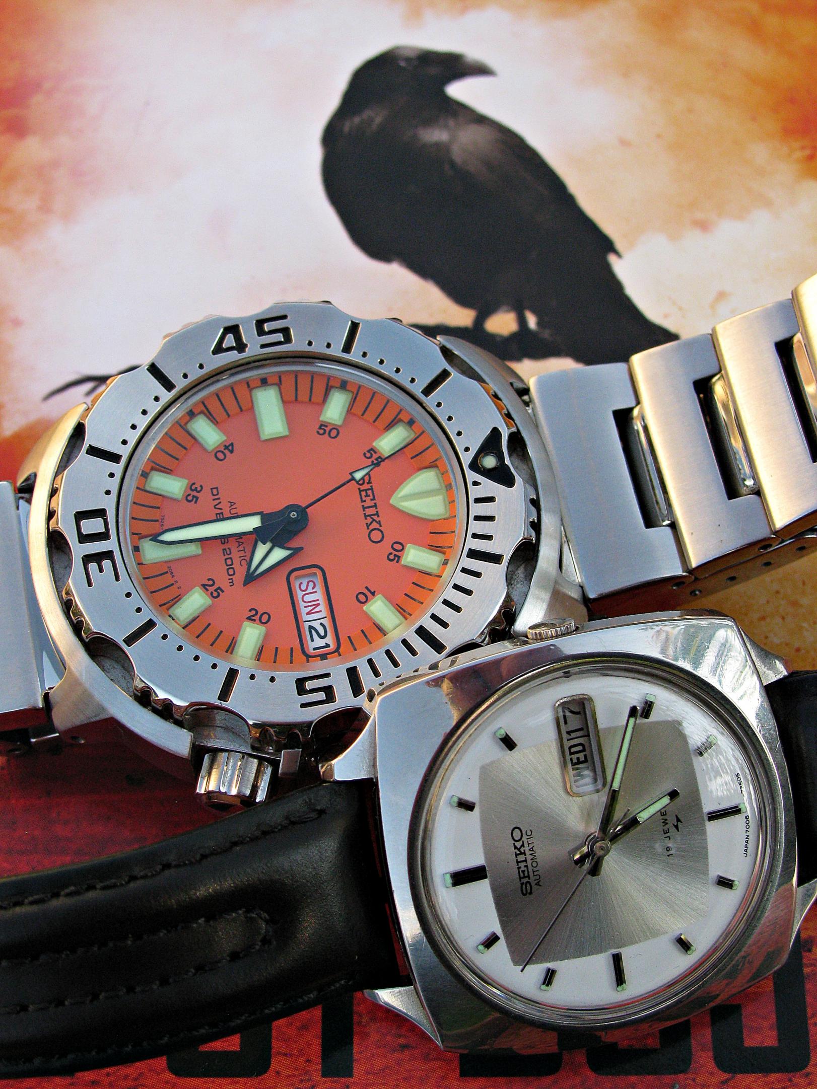 Naziv: IMG_9159 ....jpg, pregleda: 241, veličina: 492,1 KB