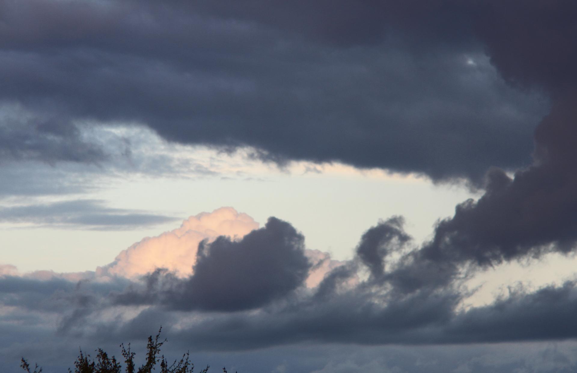 Naziv: IMG_0804.jpg, pregleda: 186, veličina: 105,2 KB