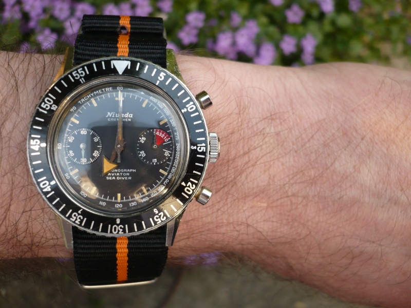 Naziv: 8.jpg, pregleda: 881, veličina: 149,7 KB