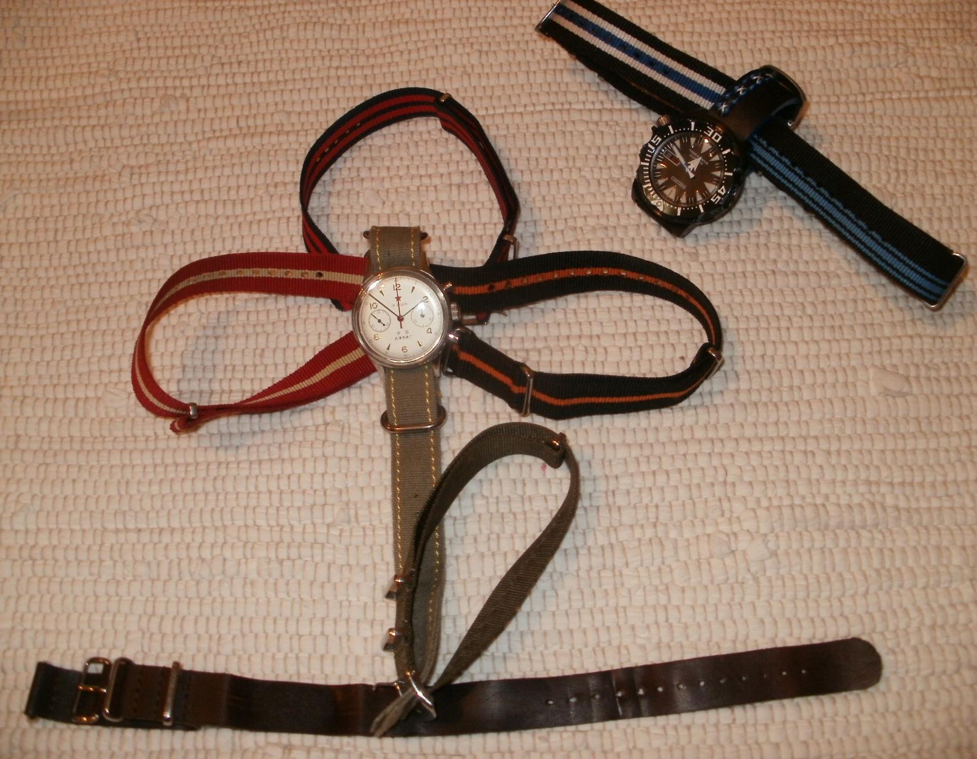 Naziv: PA300806.jpg, pregleda: 719, veličina: 315,9 KB