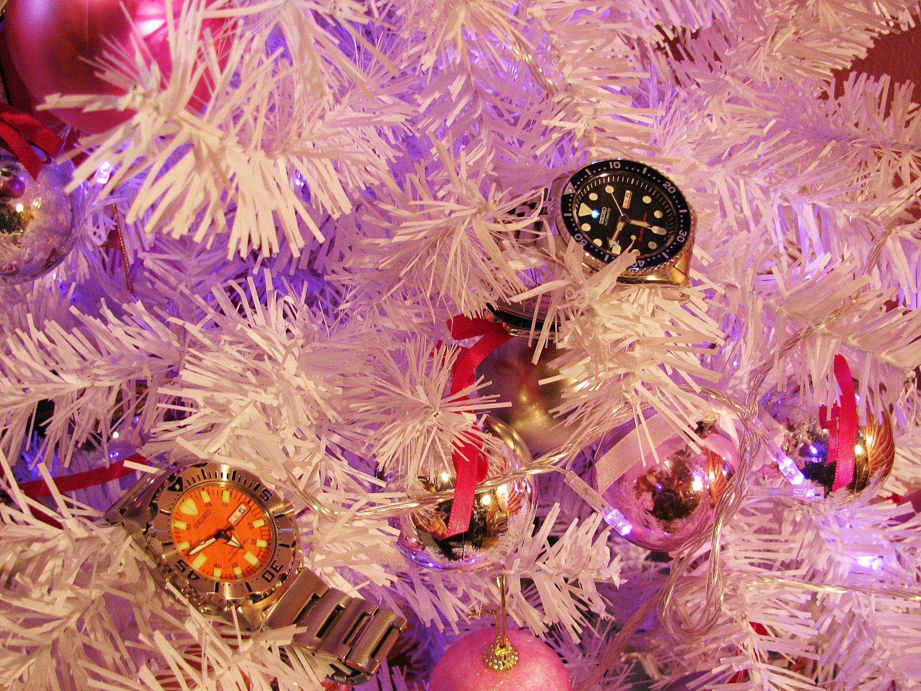 Naziv: IMG_4581 ....jpg, pregleda: 567, veličina: 494,4 KB