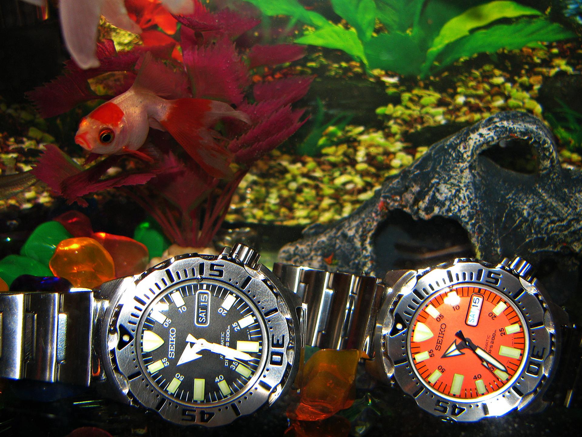 Naziv: IMG_5752 ...,.,.jpg, pregleda: 249, veličina: 412,0 KB