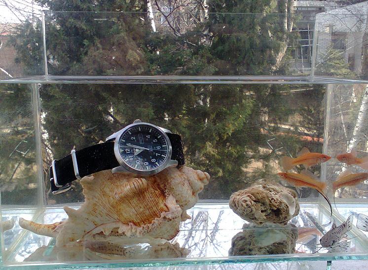 Naziv: fotografija0378,3.JPG, pregleda: 228, veličina: 113,5 KB