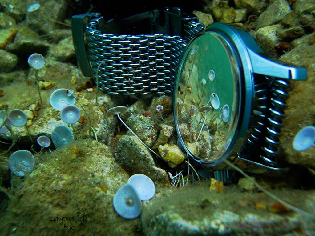 Naziv: b50bfc05-0c95-4291-bc73-6b94cbc27abf.jpg, pregleda: 288, veličina: 126,9 KB