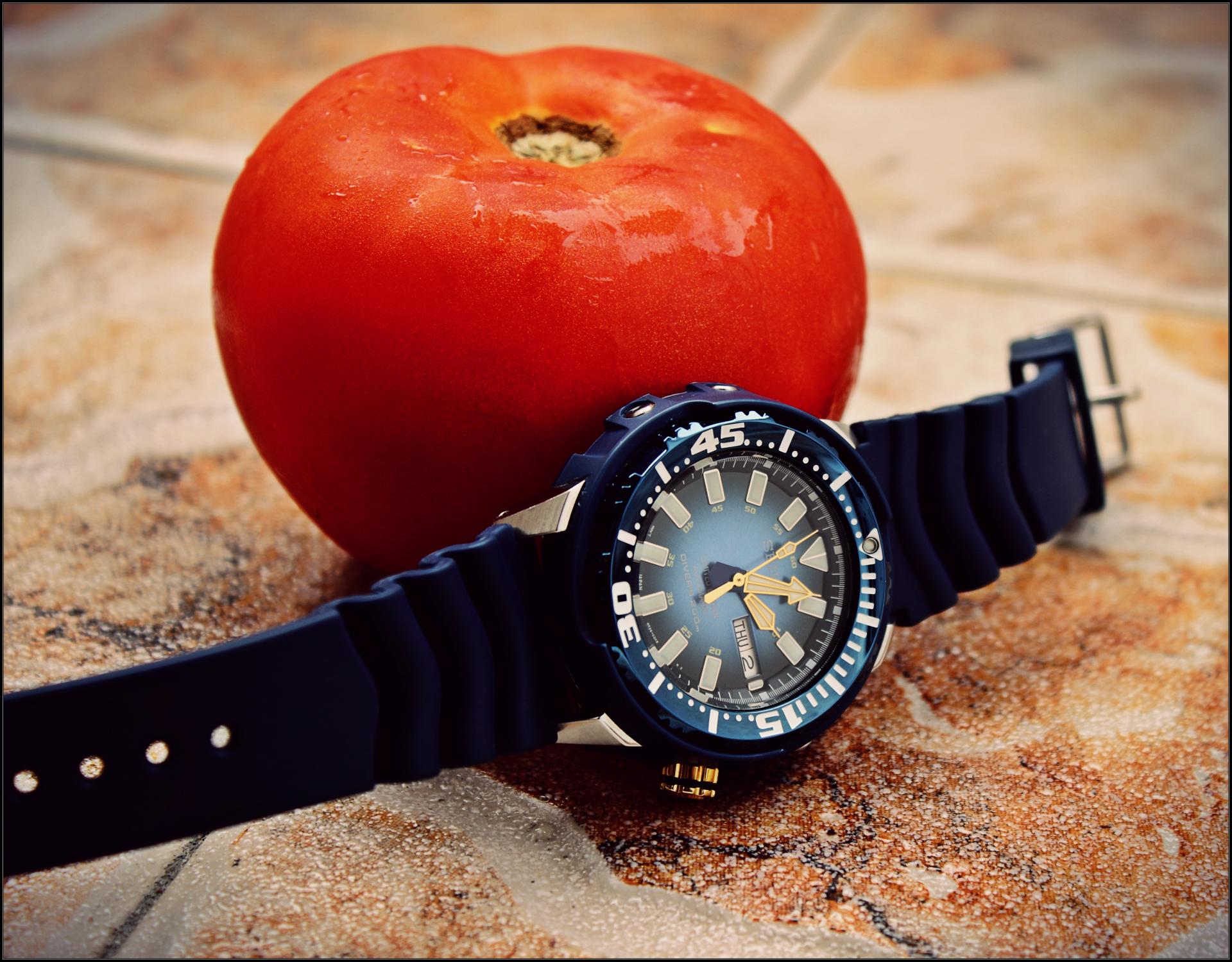 Naziv: IMG_4715.jpg, pregleda: 559, veličina: 313,4 KB