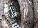 Sat Seiko Monster - SKX779 / SKX781-img_6611.jpg