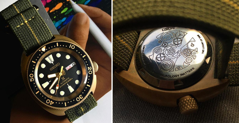 Naziv: TurtleBronzo.JPG, pregleda: 450, veličina: 119,0 KB