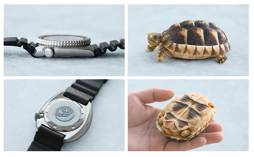 Naziv: Clip_15.jpg, pregleda: 183, veličina: 113,5 KB