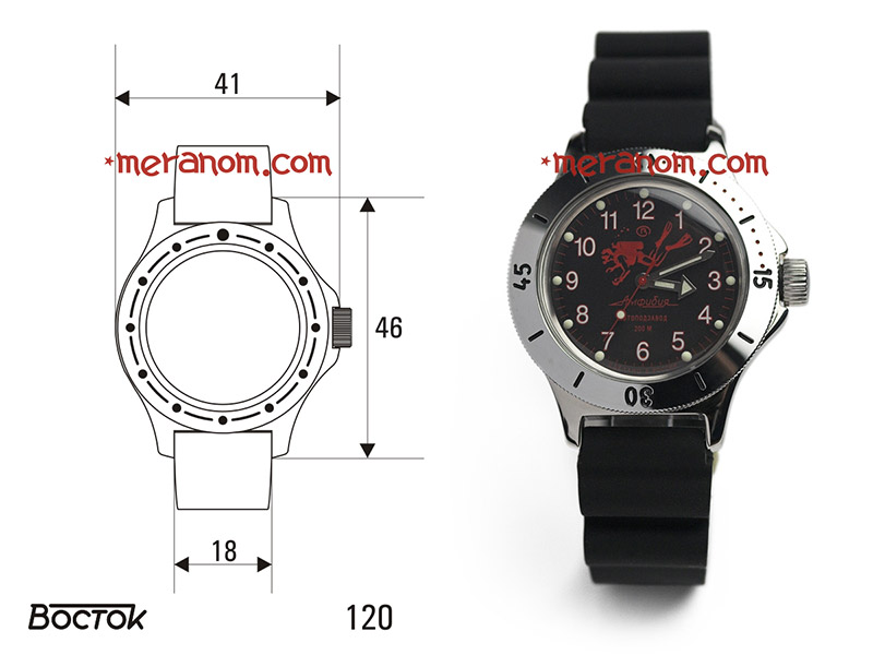 Naziv: Amphibia-tip-kucista-120_slika3.jpg, pregleda: 559, veličina: 68,4 KB
