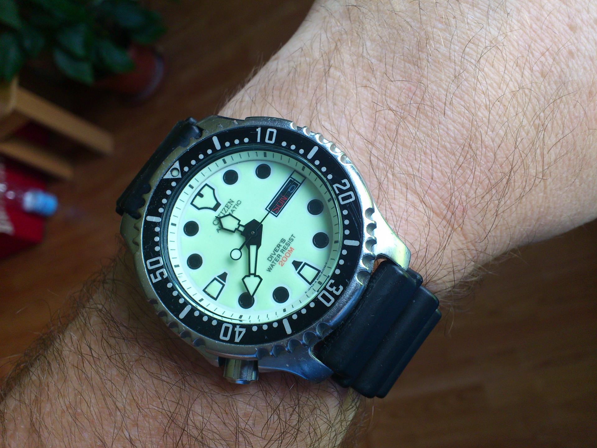 Naziv: DSC_0453.jpg, pregleda: 542, veličina: 316,1 KB