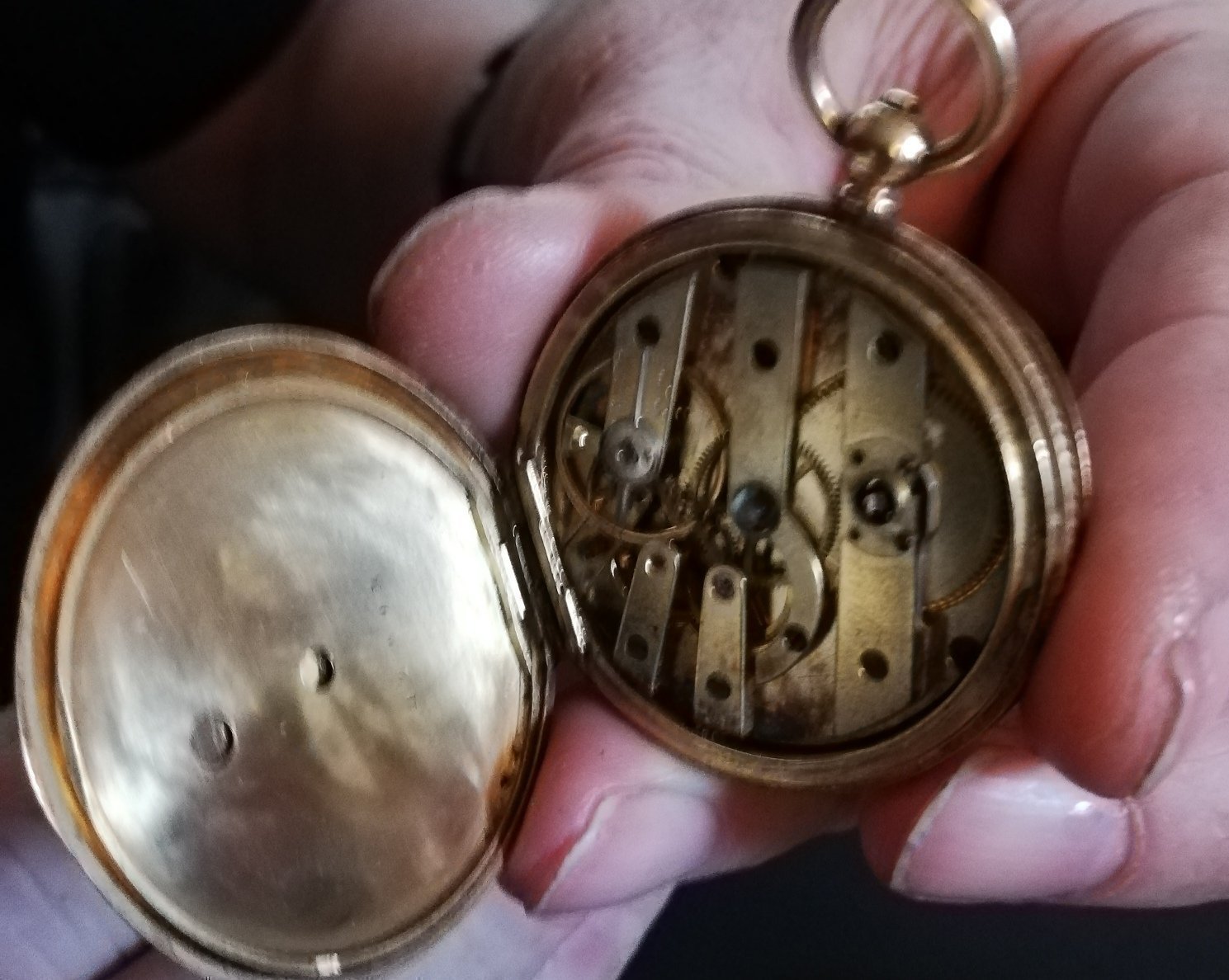 Naziv: 009AF7BD-25C3-4C5A-8240-99F174729C72.jpeg, pregleda: 424, veličina: 231,4 KB