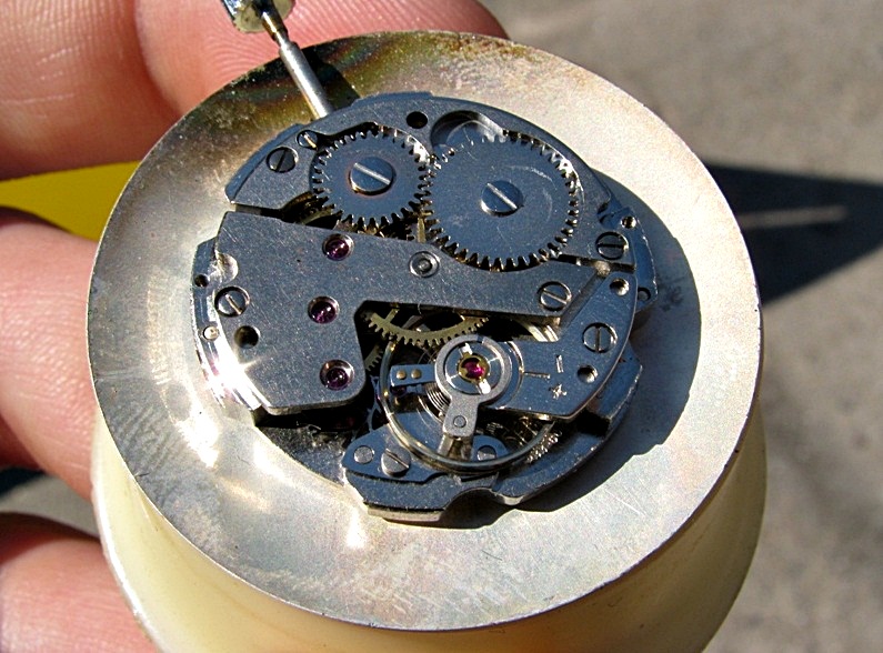 Naziv: Gloriosa.jpg, pregleda: 397, veličina: 175,4 KB