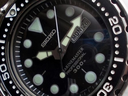 Naziv: tuna1.JPG, pregleda: 379, veličina: 35,3 KB