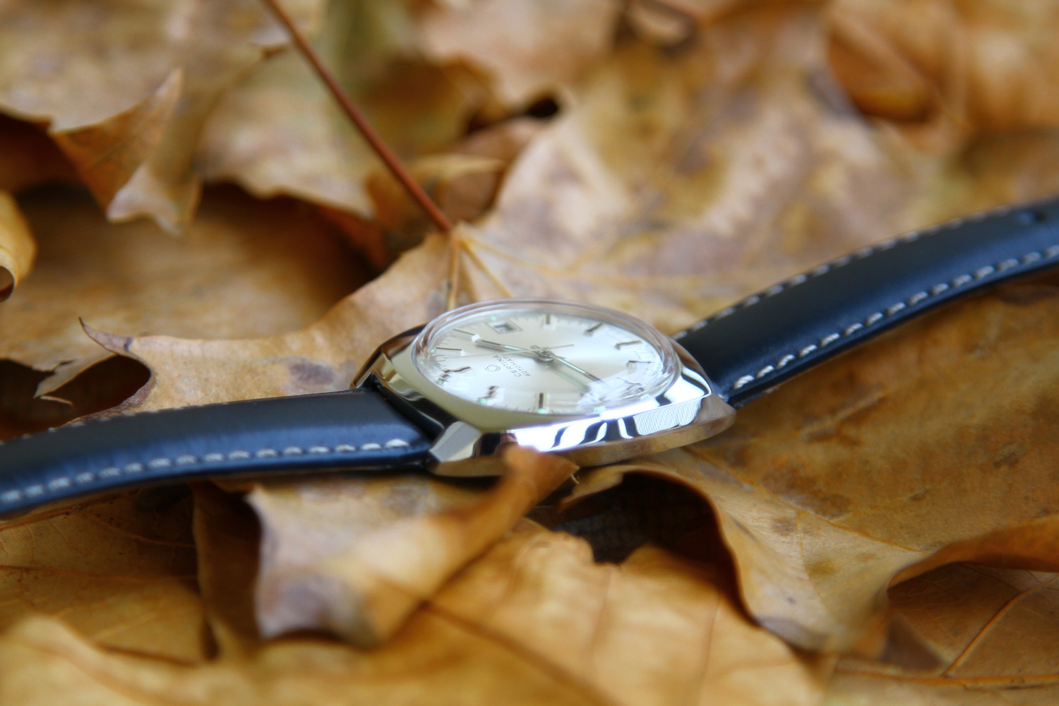 Naziv: IMG_1458.JPG, pregleda: 959, veličina: 330,2 KB