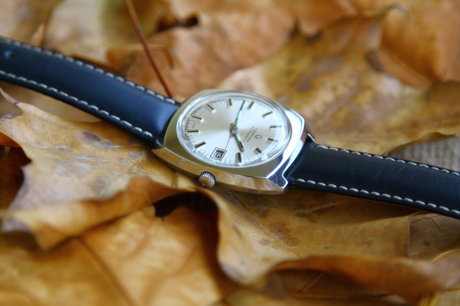 Naziv: IMG_1459.JPG, pregleda: 786, veličina: 345,5 KB